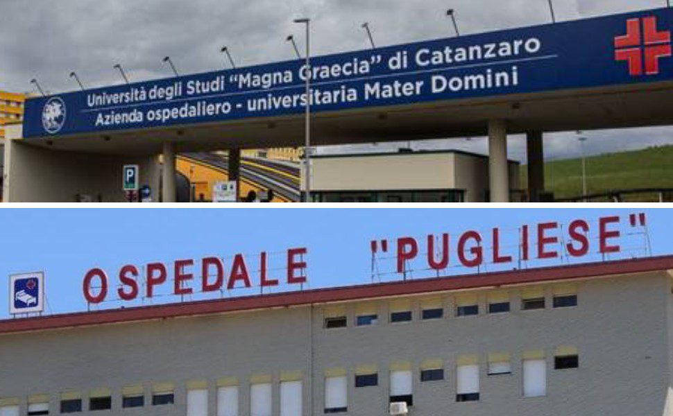 dulbecco - mater domini pugliese cz