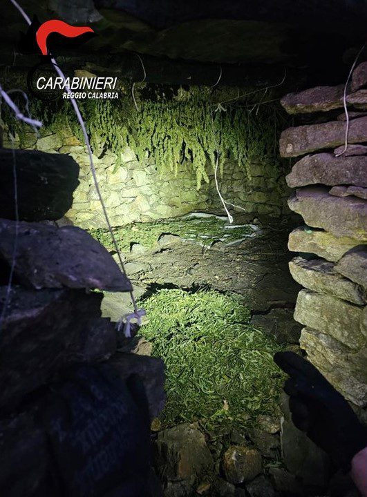 essiccatoio cardeto marijuana 02