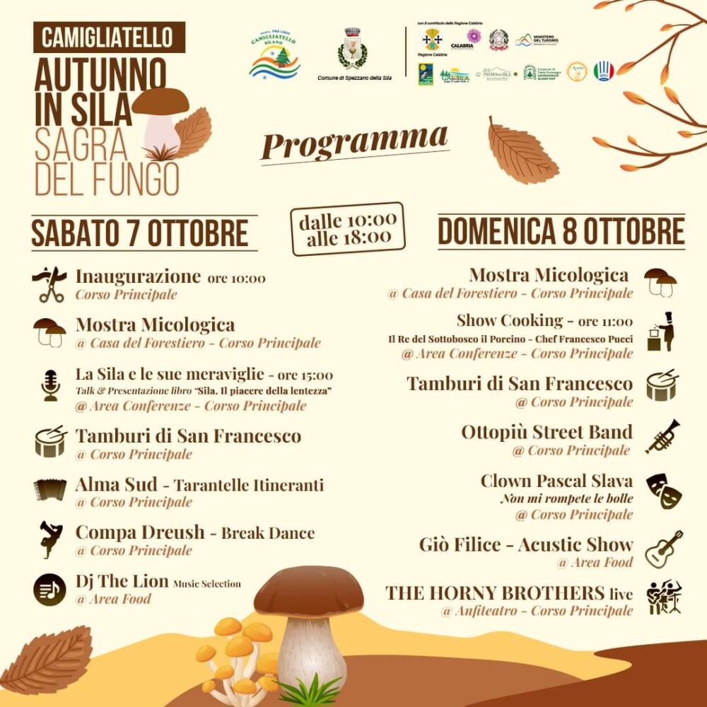 facebook 1696330317884 7114925037623683811 1 scaled