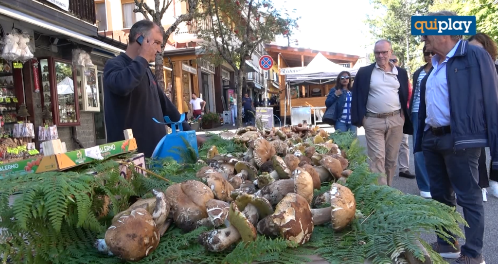 foto sagra del fungo