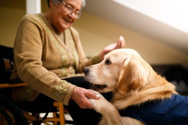 pet-therapy-