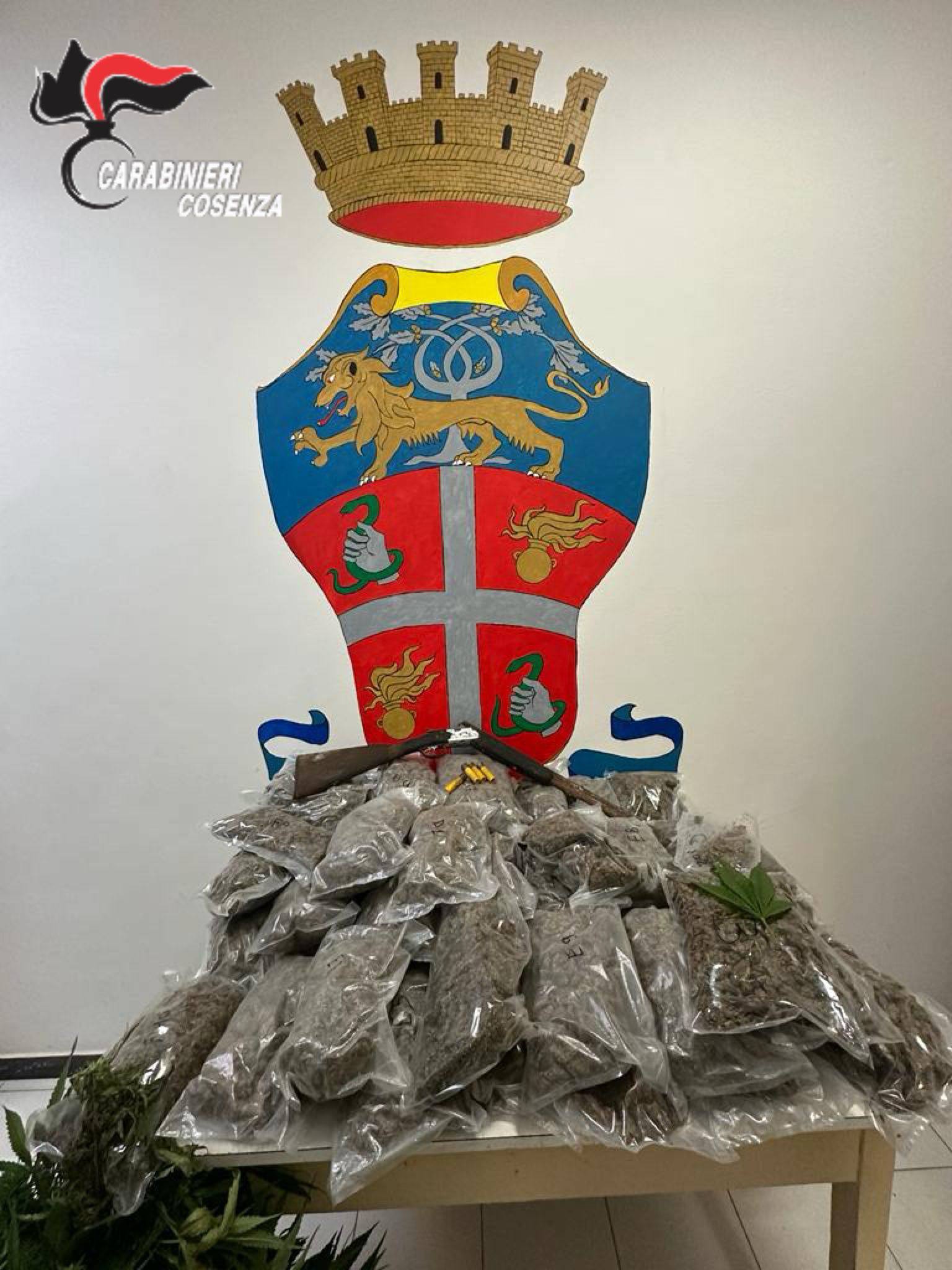 piantagione carabinieri bonifati marijuana