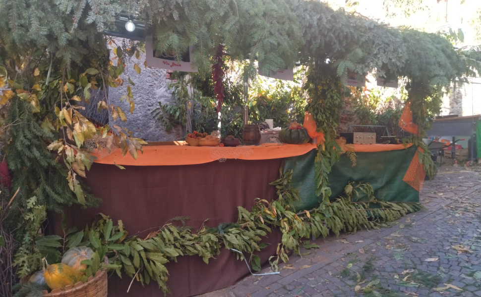 sagra castagna a cellara 2022