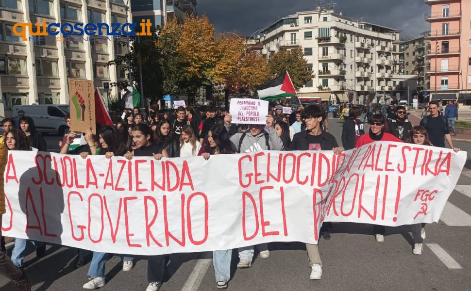 17 novembre corteo studenti cosenza 02