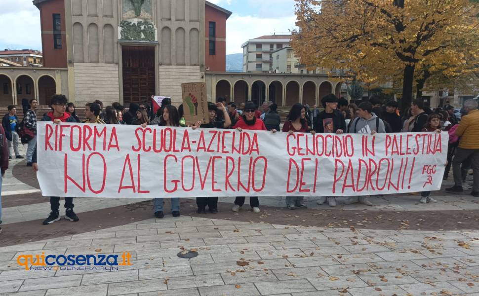 17 novembre corteo studenti cosenza