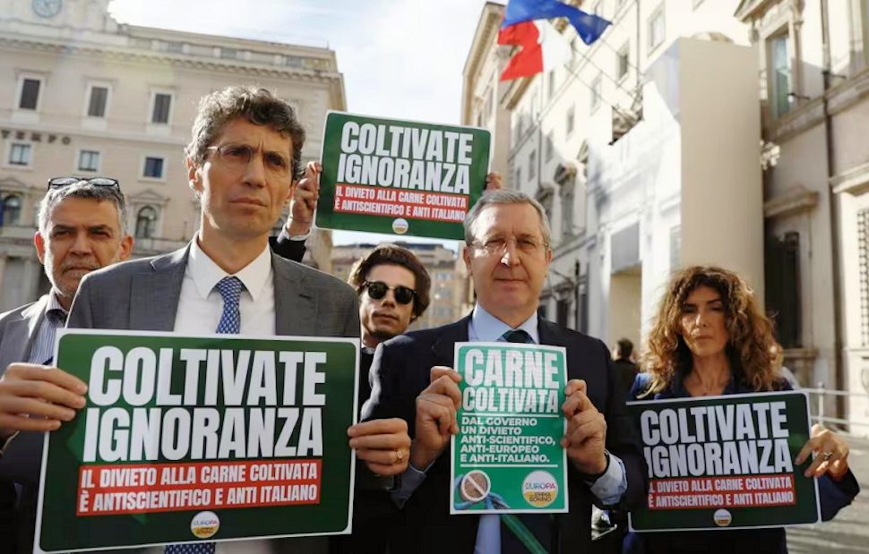 Carne coltivata piu europa