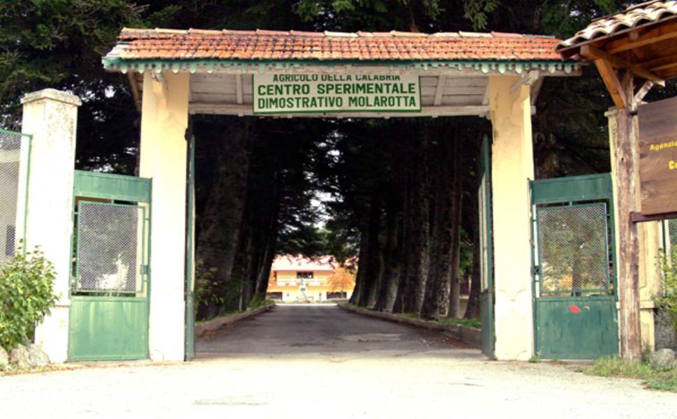 Centro sperimentale dimostrativo agricolo molarotta