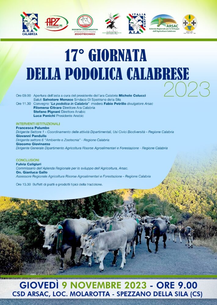 17 giornata della podolica calabrese