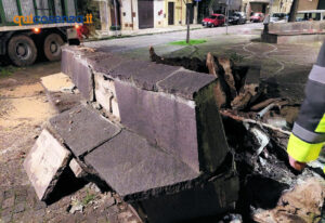 castrovillari vento albero 02 1