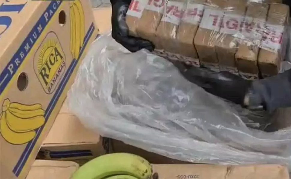 droga-banane-gioia-tauro