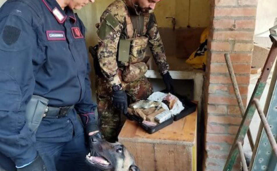 lamezia alto impatto droga