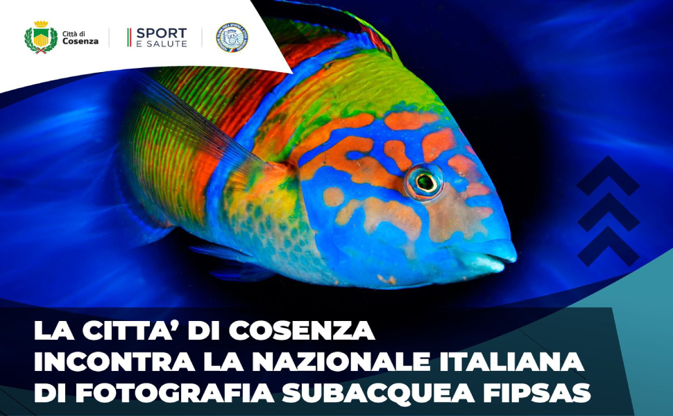 nazionale di fotografia subacquea