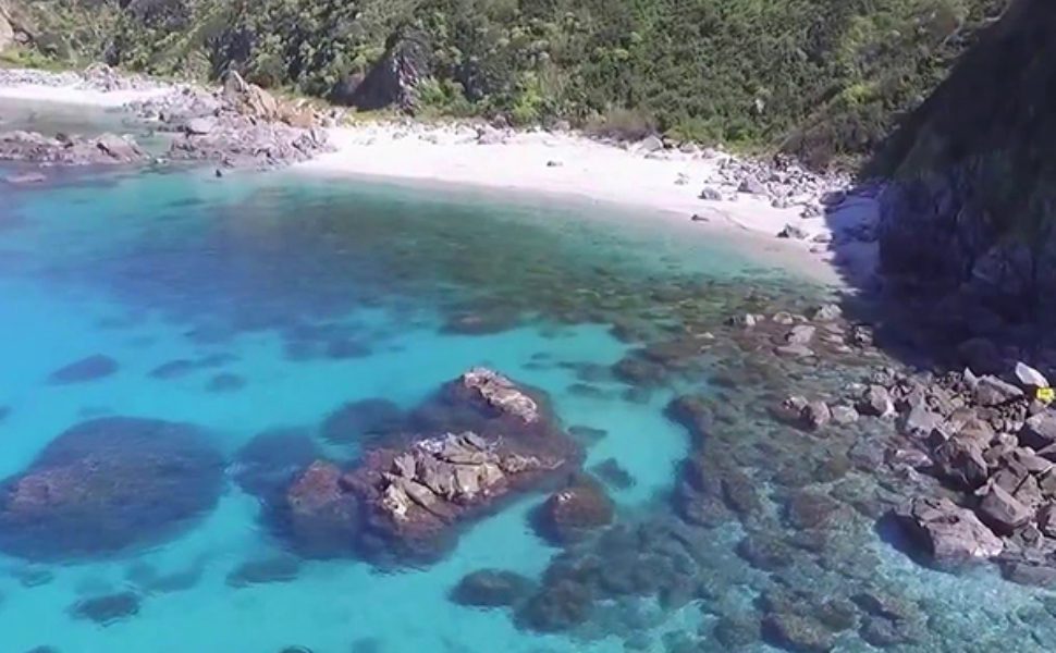 parchi-marini-calabria