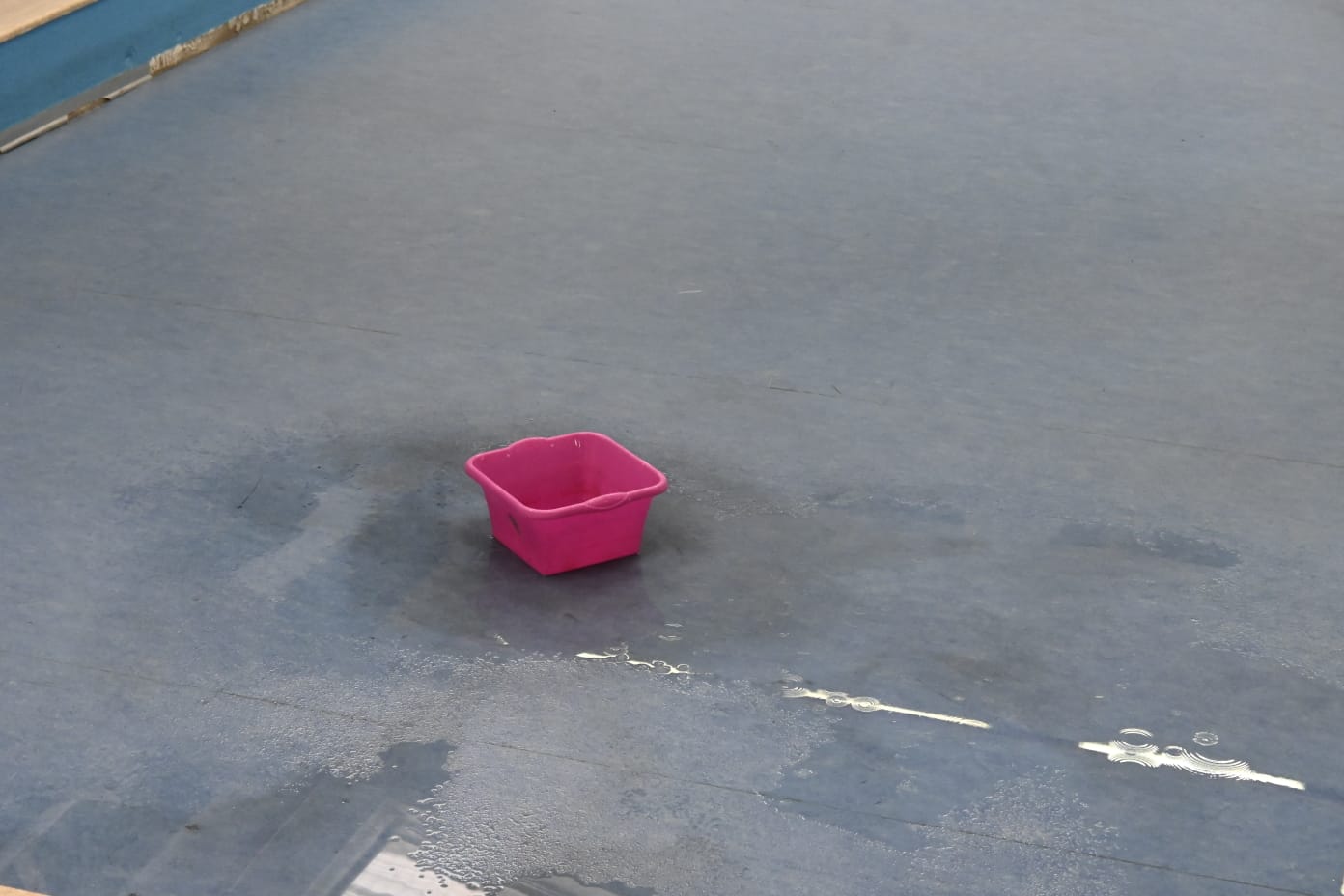 bacinelle nella scuola media a Belvedere