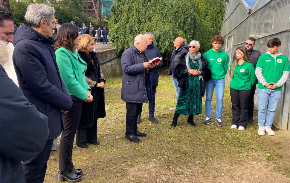 Inaugurati i nuovi laboratori all’IIS 'Mancini-Tommasi' di Cosenza: una scuola 4.0 54 IIS 'Mancini-Tommasi'