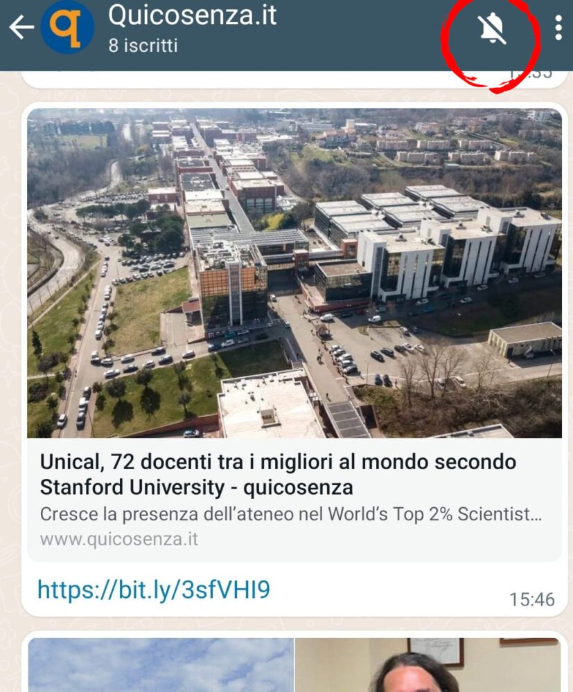 Canale WhatsApp QuiCosenza