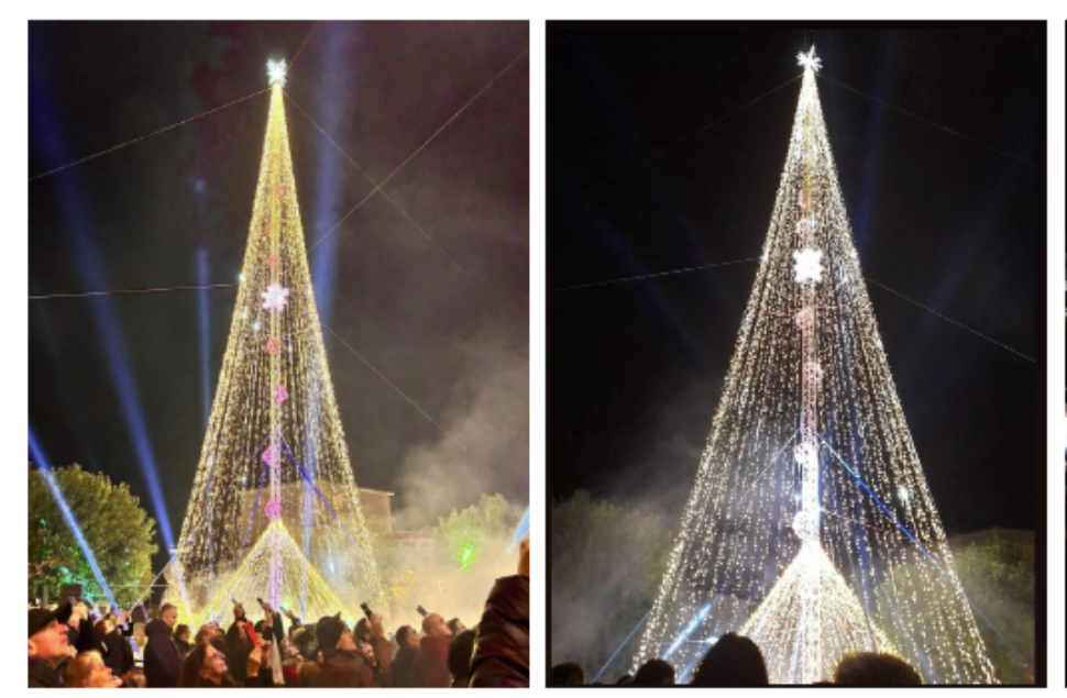 albero roccabernarda