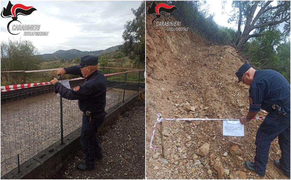 carabinieri forestale santa domenica talao