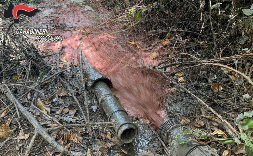controlli ambientali reggio calabria carabinieri