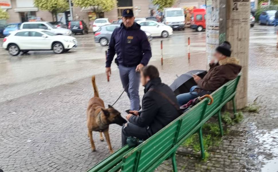 controlli antidroga polizia autostazione unita cinofila