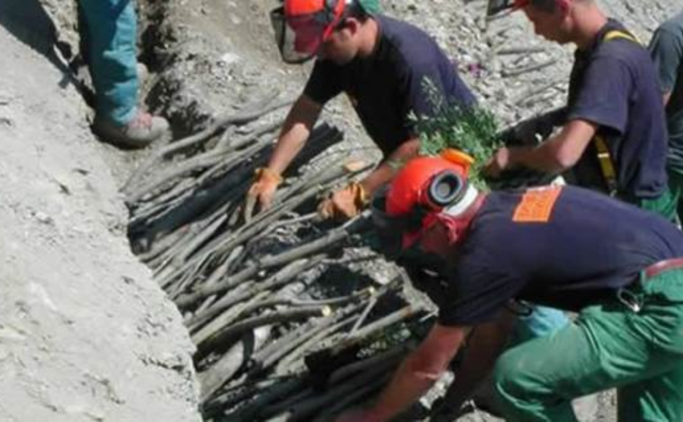 forestali-calabria-verde