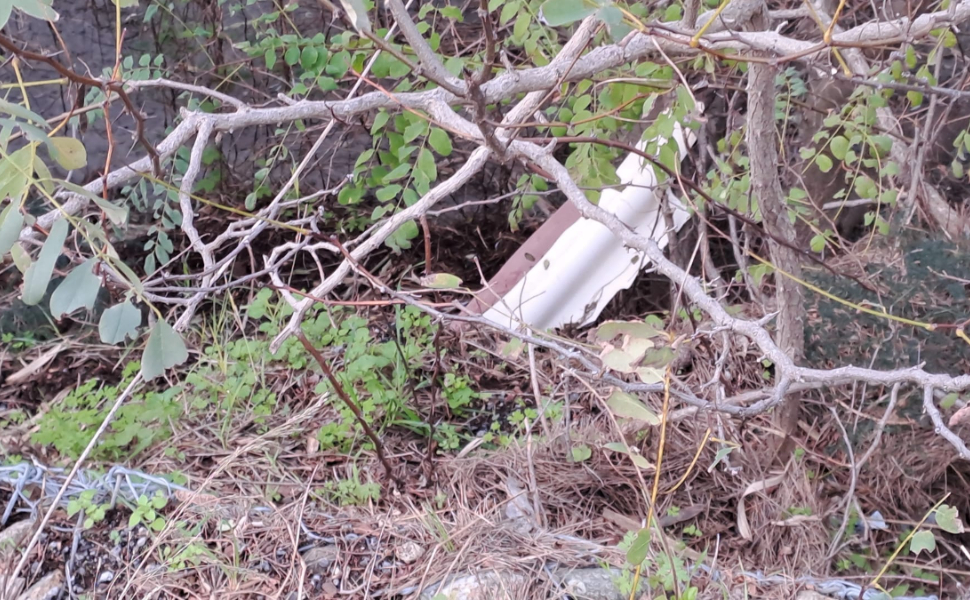 rifiuti alveo fiume lao 03