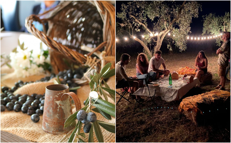 tarsia-citta-dellolio-in-festa