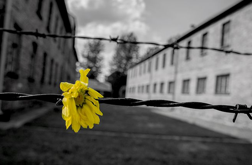 Giorno della memoria