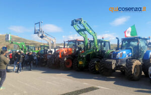 La protesta degli agricoltori si sposta in Cittadella: incatenati a bordo strada - FOTO 53 Proteste Trattori Cittadella