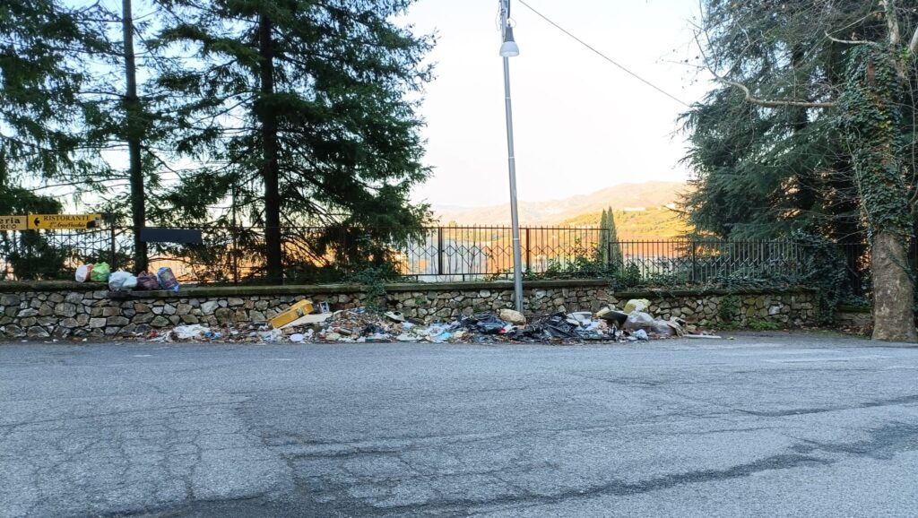 1755d192 30dd 43e4 adb2 9e1e878e55a0