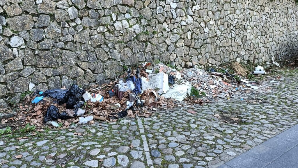 21a8be47 8de1 41ae a286 ac8eeba145b6