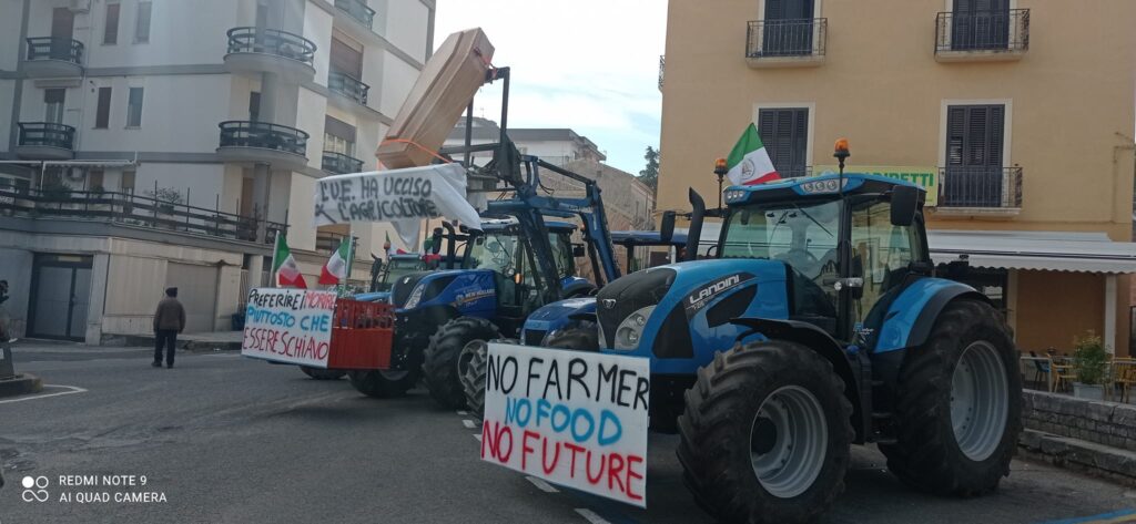 425391682 10227526438241300 176873374311101572 n