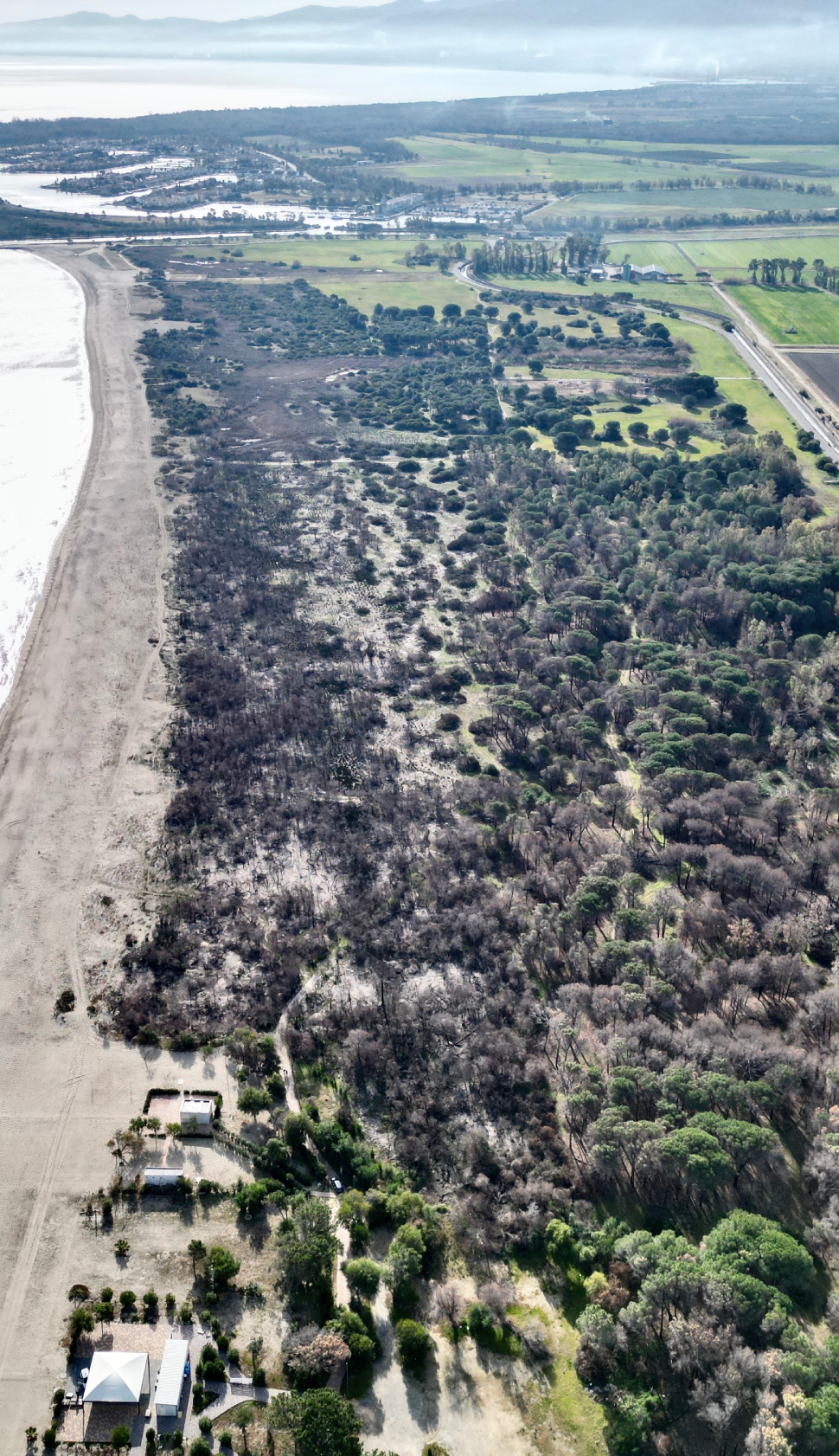Marina di Sibari, Papasso «nell'area Sic, sparita porzione di macchia mediterranea. Si indaghi» 54 Aree-incendiate-zona-Sic-sito-di-interesse-comunitario-Natura-2000