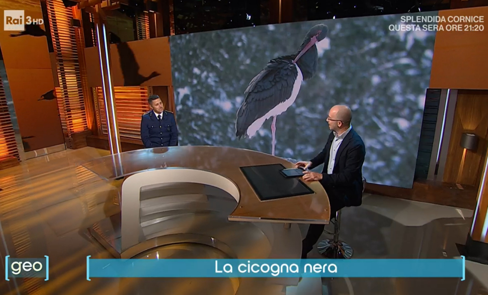 Cicogna Nera Rai GEO