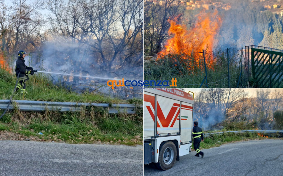 Incendio Rende collina