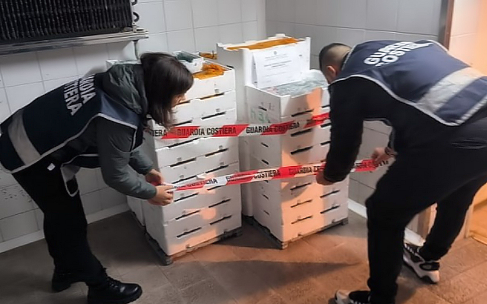 Novellame di sarda - bianchetto