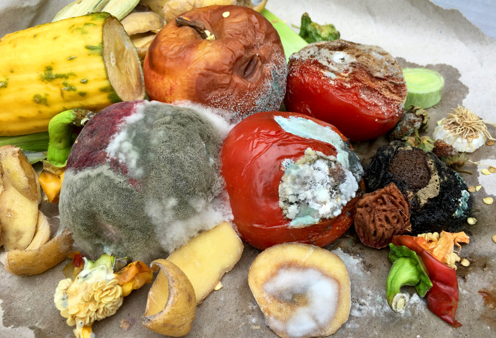 Spreco cibo spazzatura