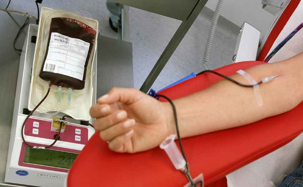 donazione sangue 1