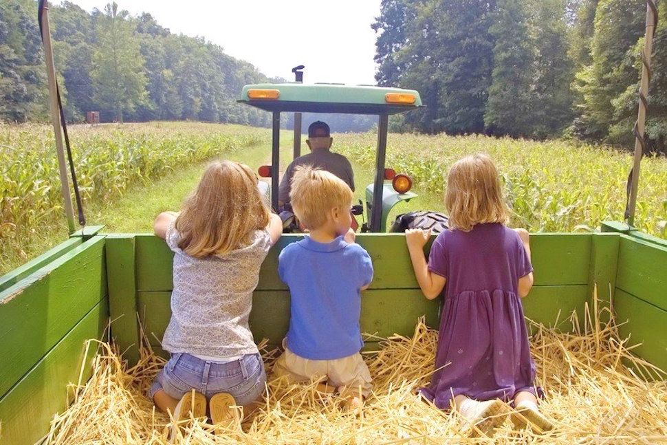 fattorie didattiche