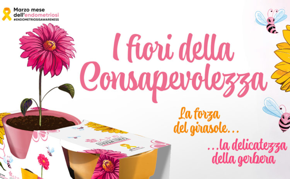 girasole-gerbera-vasi-marzo-2023