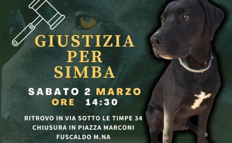 manifestazione fuscaldo per simba