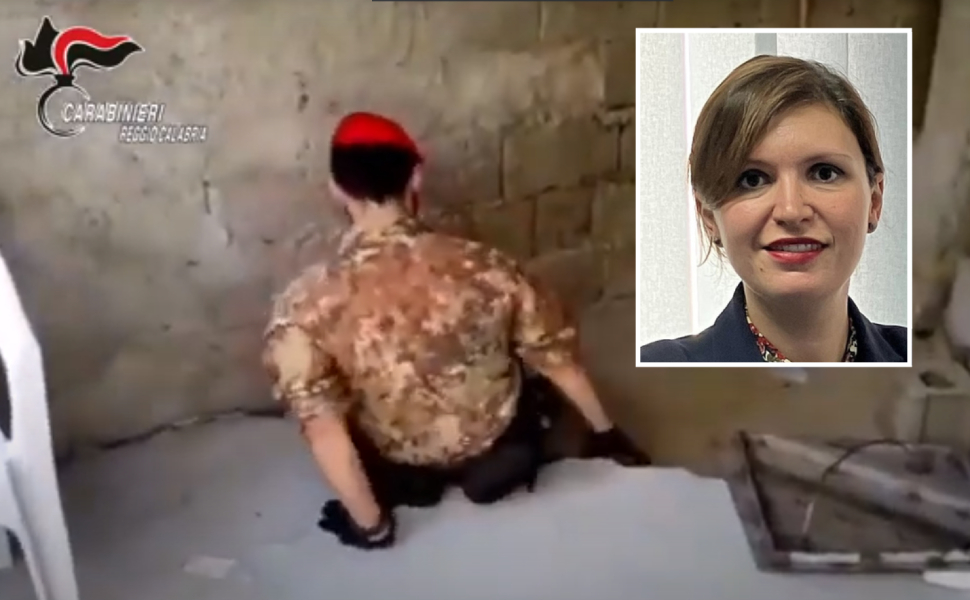 pereverant - stanganelli garante salute