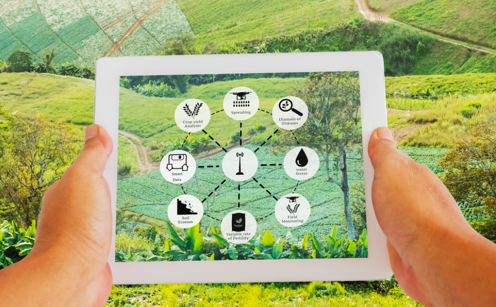 risorse-aziende-agricole-valle del Crati