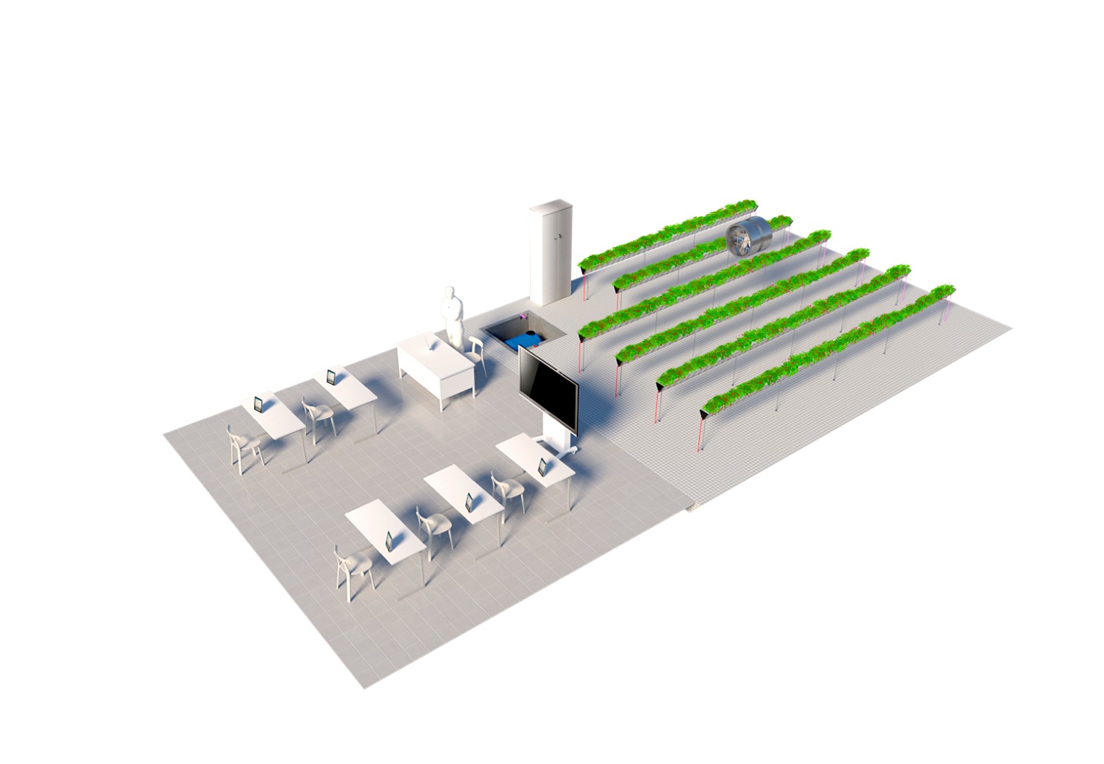 Scuola 4.0: il progetto innovativo, unico ed ecosostenibile dell'ISS “Costanzo”: la serra idroponica 59 serra idroponica