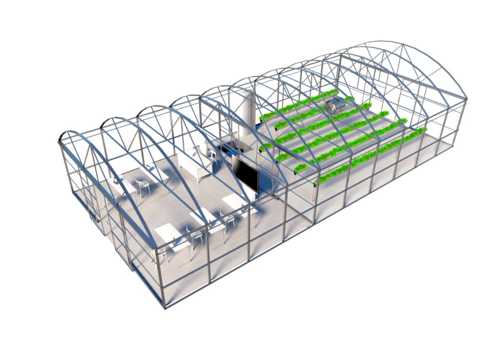 Scuola 4.0: il progetto innovativo, unico ed ecosostenibile dell'ISS “Costanzo”: la serra idroponica 58 serra idroponica