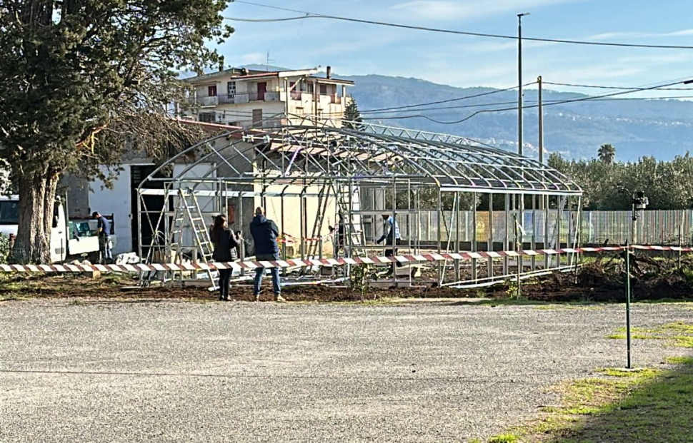 Scuola 4.0: il progetto innovativo, unico ed ecosostenibile dell'ISS “Costanzo”: la serra idroponica 60 serra idroponica