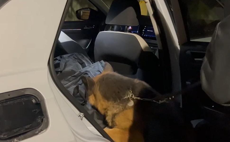 unita cinofila cane controlli finanza