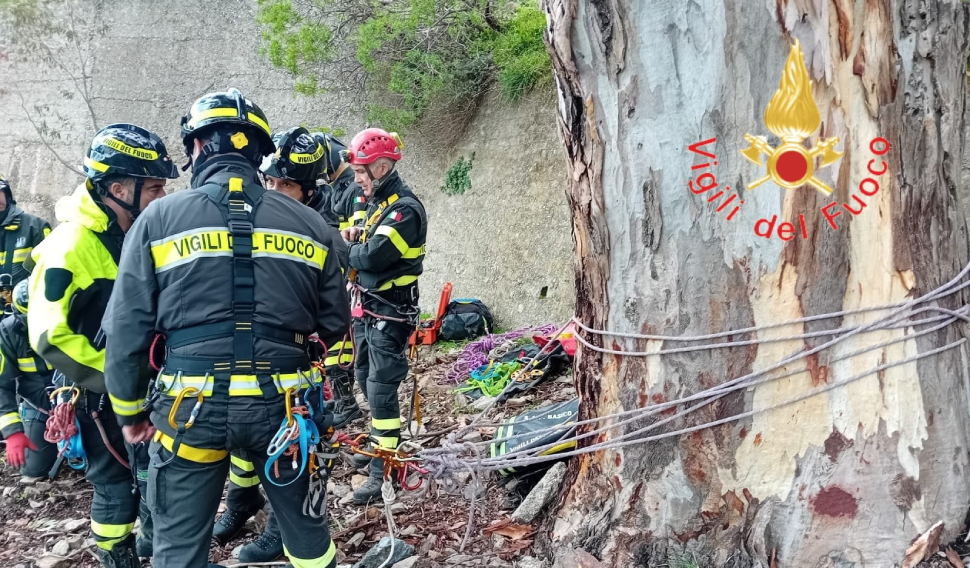 43188bba a293 42f7 9efa 20f076df5db2 1