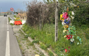 «Su quel ponte a Corigliano Rossano da 4 mesi si attendono interventi. Situazione grave» 53 Ponte Statale 106 Co Ro3