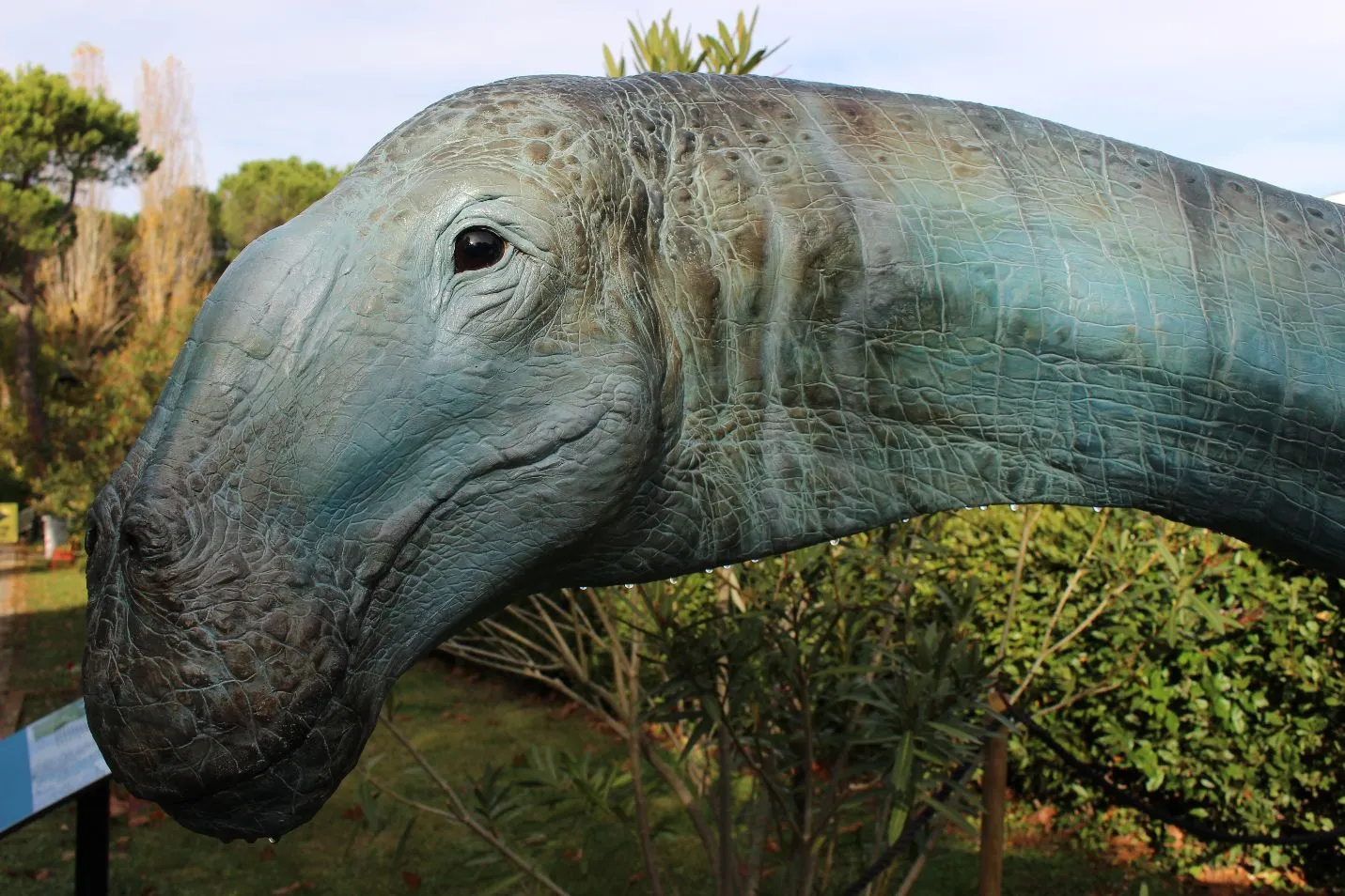 festivale della scienza_tito